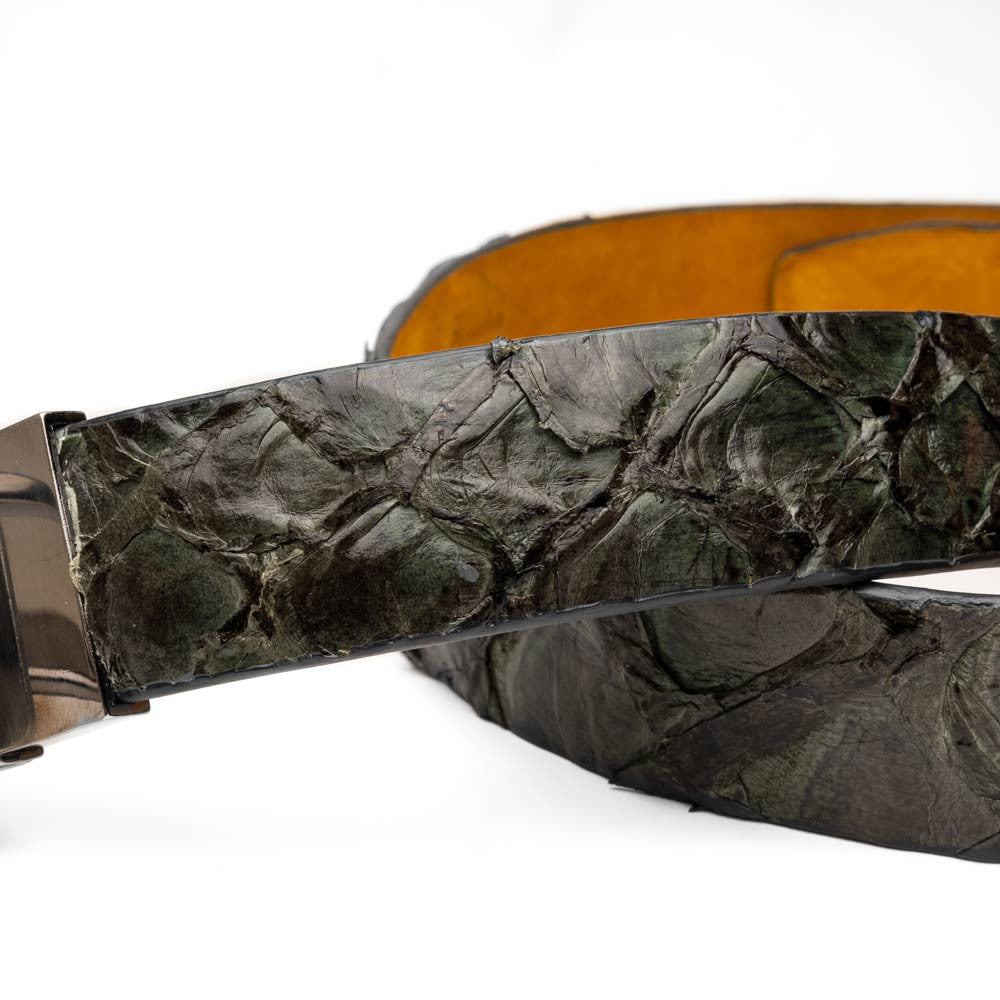 Oliveri Genuine Pirarucu Skin Gray Belt with a Silver Buckle | Marco Di Milano Exotic Belt