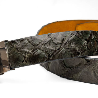 Oliveri Genuine Pirarucu Skin Gray Belt with a Silver Buckle | Marco Di Milano Exotic Belt